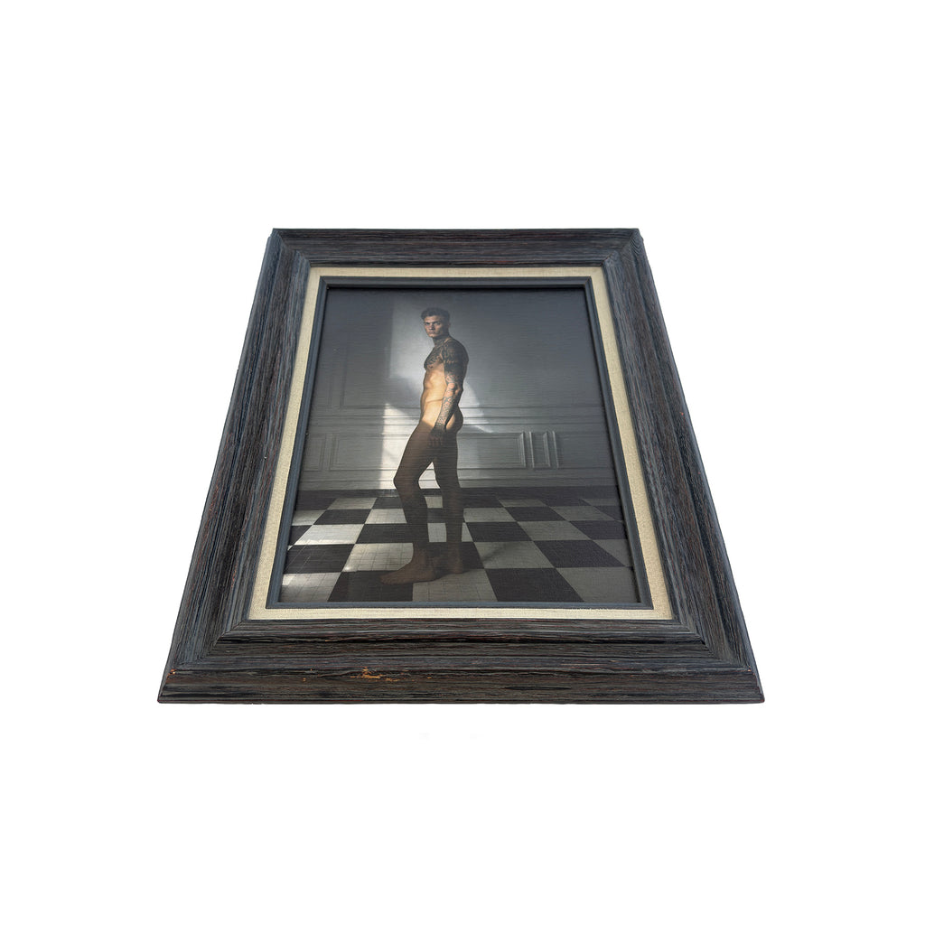 Cooper Between Light and Shadow Canvas Art Print Vintage Frame 11"x14" One of Kind