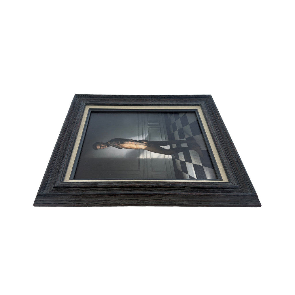 Cooper Between Light and Shadow Canvas Art Print Vintage Frame 11"x14" One of Kind