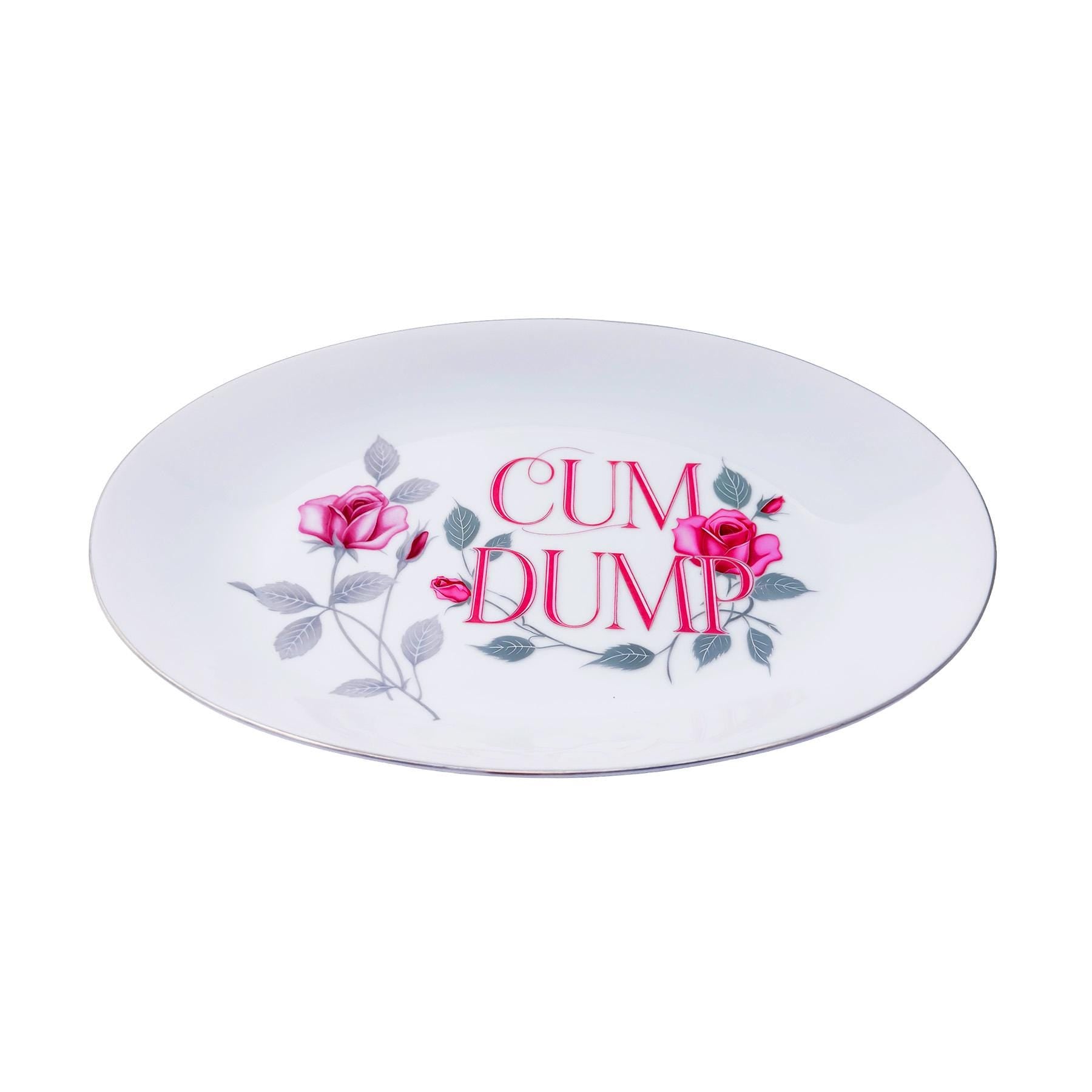 Cum Dump Platter 8"x 12" Upcycled Vintage Seyei Fine China Wall Art Display Plate For Bold Humorous Individuals Gay Humor Interior Design