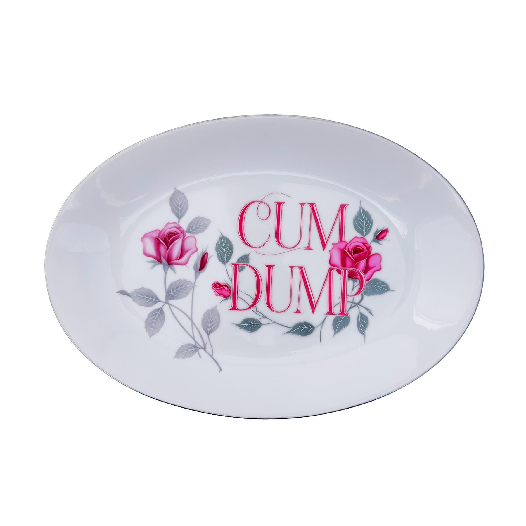 Cum Dump Platter 8"x 12" Upcycled Vintage Seyei Fine China Wall Art Display Plate For Bold Humorous Individuals Gay Humor Interior Design