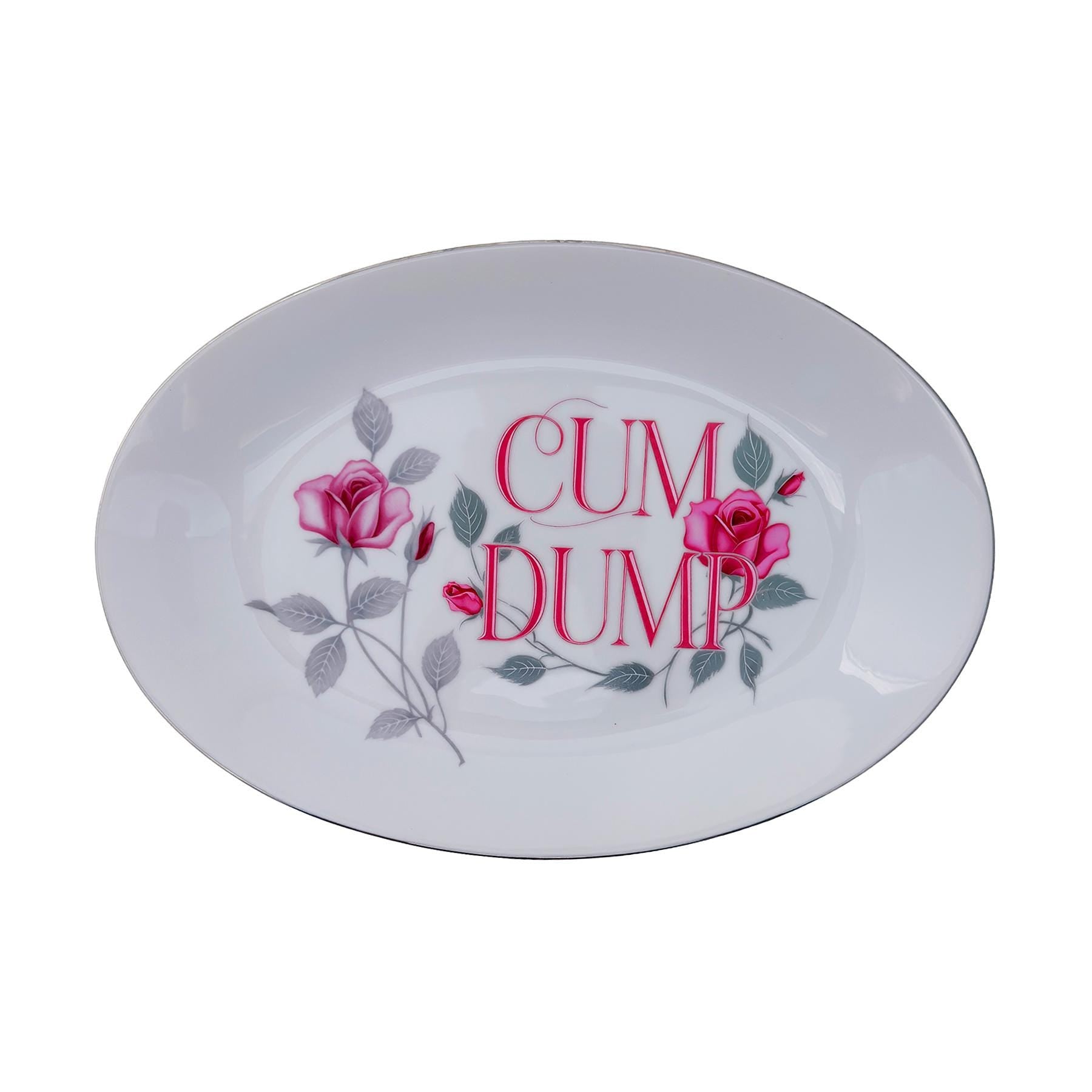 Cum Dump Platter 8"x 12" Upcycled Vintage Seyei Fine China Wall Art Display Plate For Bold Humorous Individuals Gay Humor Interior Design