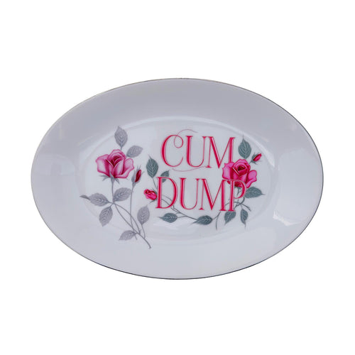 Cum Dump Platter 8"x 12" Upcycled Vintage Seyei Fine China Wall Art Display Plate For Bold Humorous Individuals Gay Humor Interior Design