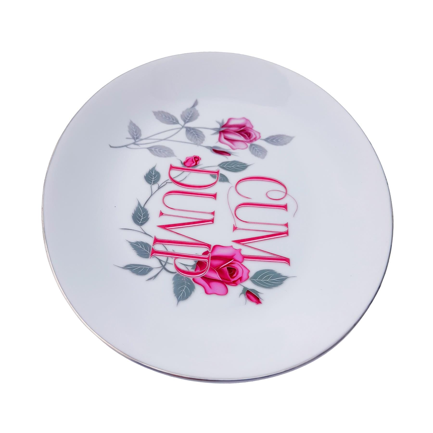 Cum Dump Platter 8"x 12" Upcycled Vintage Seyei Fine China Wall Art Display Plate For Bold Humorous Individuals Gay Humor Interior Design